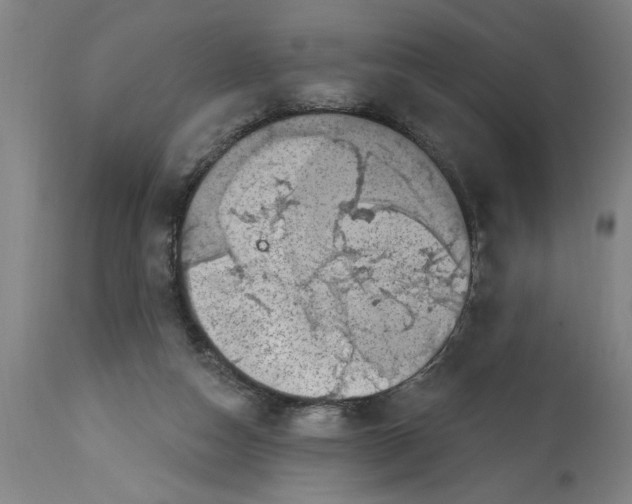 X0000114690162200911181301