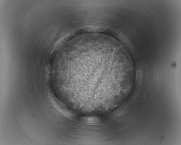 X0000114690165200911181301