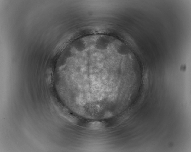 X0000114690169200911181301