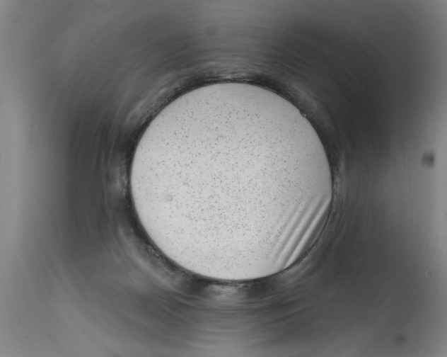 X0000114690170200911181301