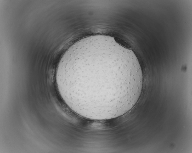 X0000114690171200911181301