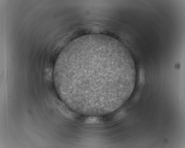 X0000114690177200911181301