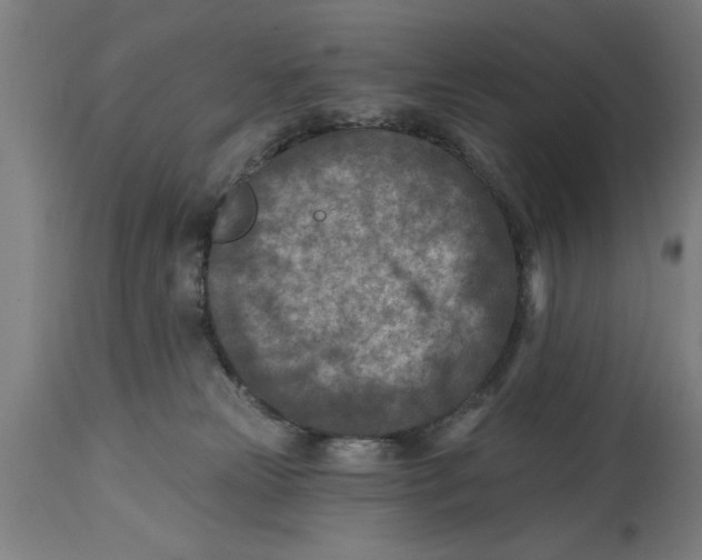 X0000114690181200911181301