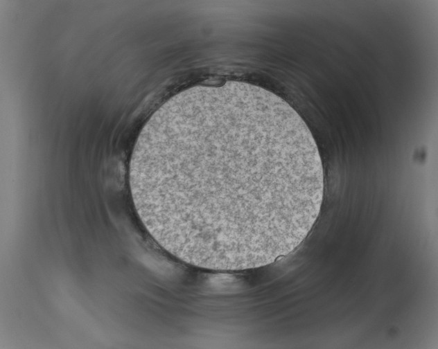 X0000114690183200911181301