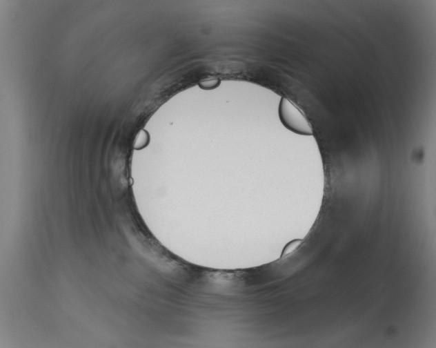 X0000114690187200911181301