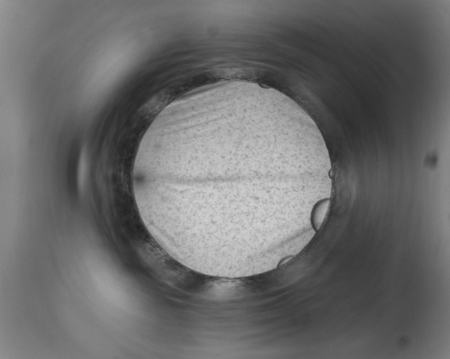 X0000114690189200911181302