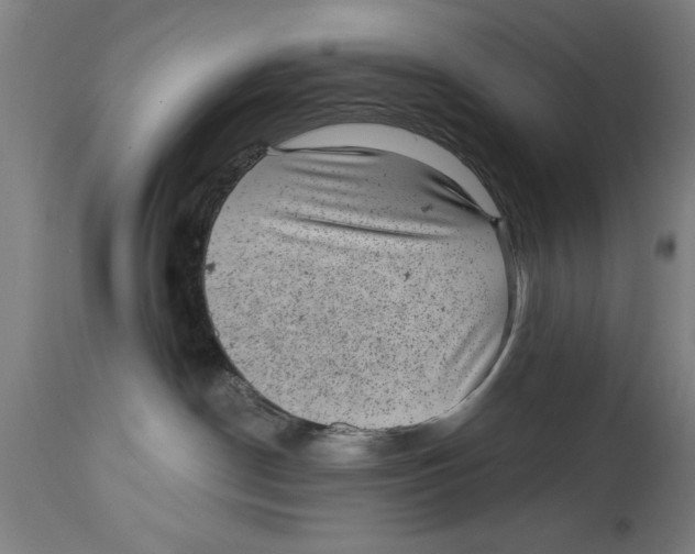 X0000114690190200911181302