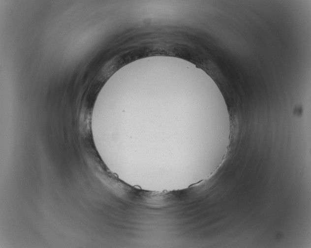 X0000114690191200911181302