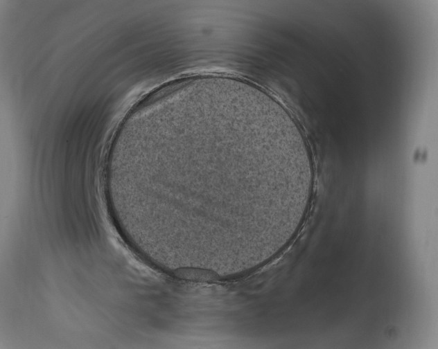 X0000114690193200911181301