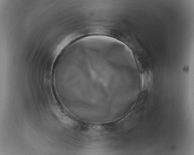 X0000114690195200911181301