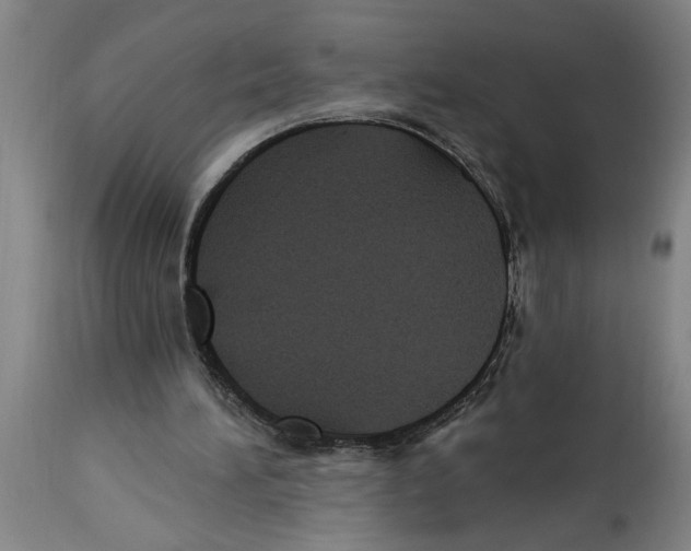 X0000114690196200911181301