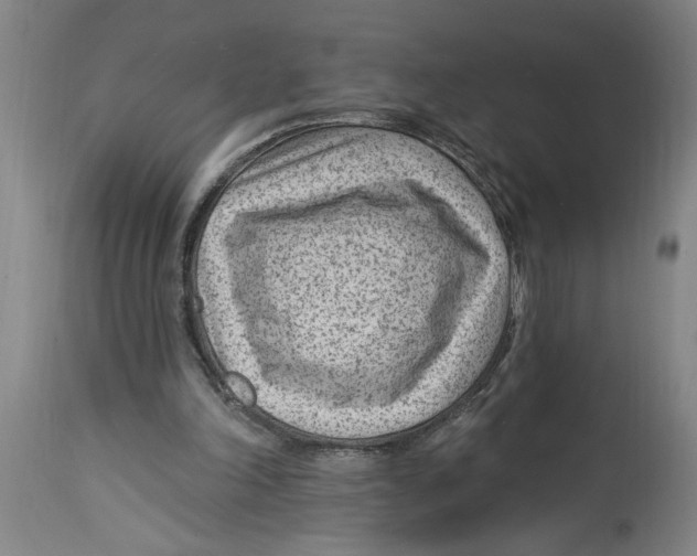 X0000114690198200911181301