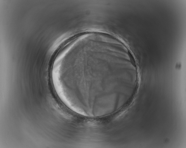 X0000114690199200911181301