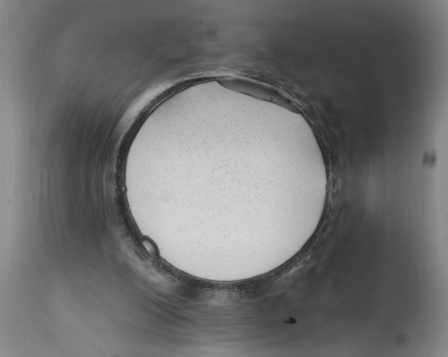 X0000114690200200911181301