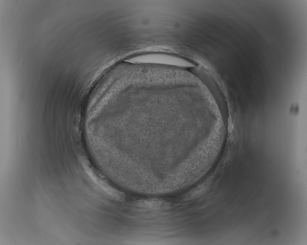 X0000114690201200911181301