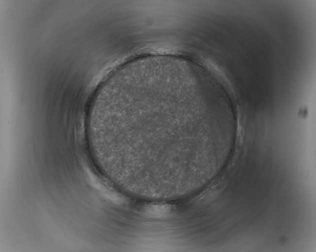 X0000114690202200911181301