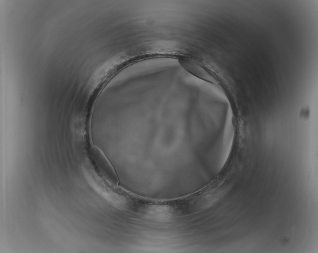 X0000114690203200911181301