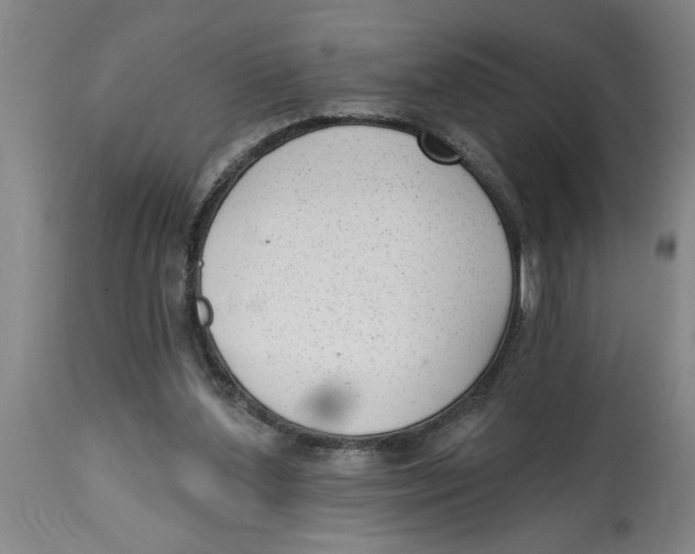 X0000114690204200911181301