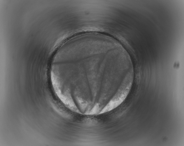 X0000114690207200911181301