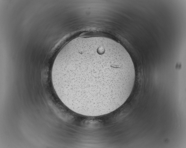 X0000114690208200911181301