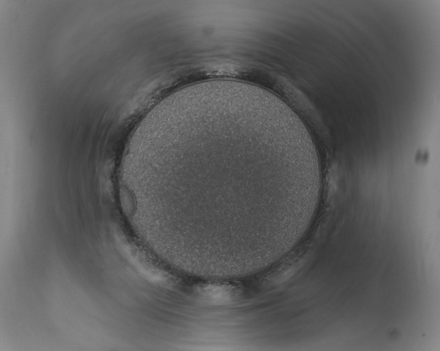 X0000114690209200911181301