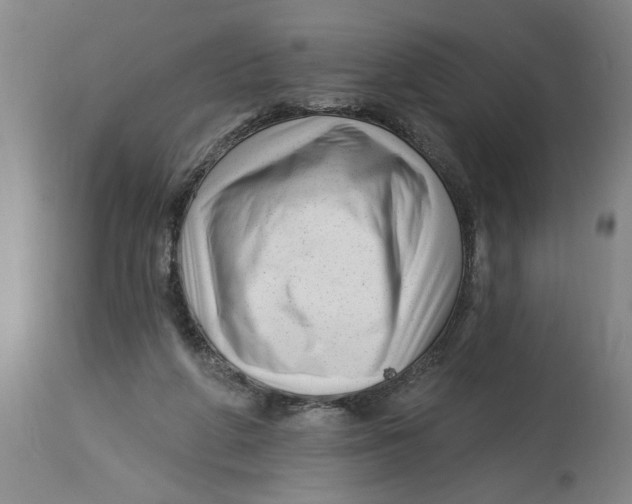 X0000114690210200911181301