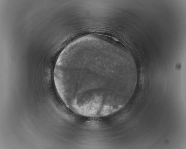 X0000114690211200911181301