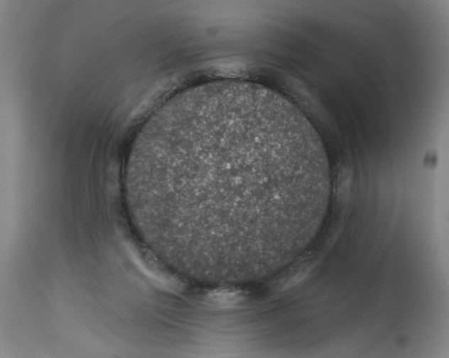 X0000114690213200911181301