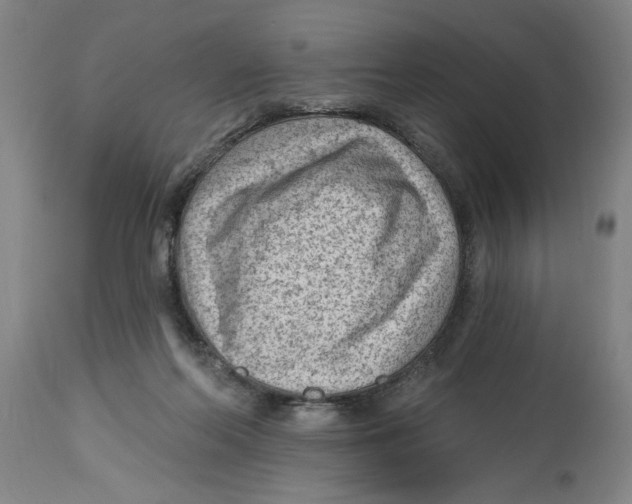 X0000114690214200911181301