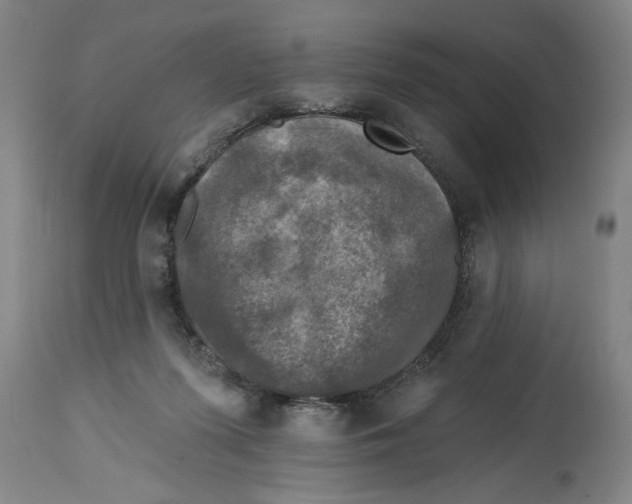 X0000114690215200911181301