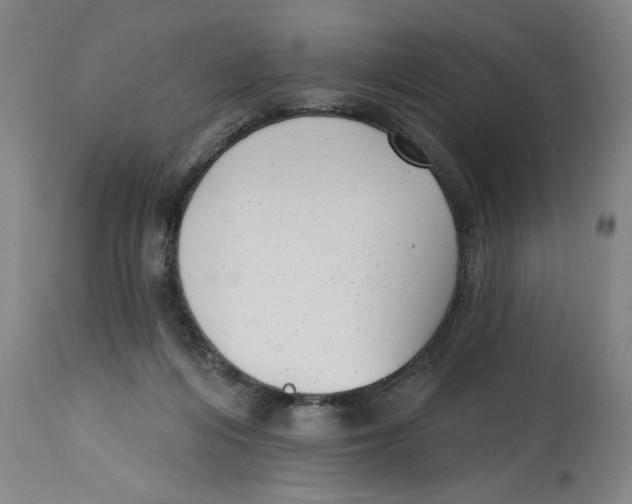 X0000114690216200911181301