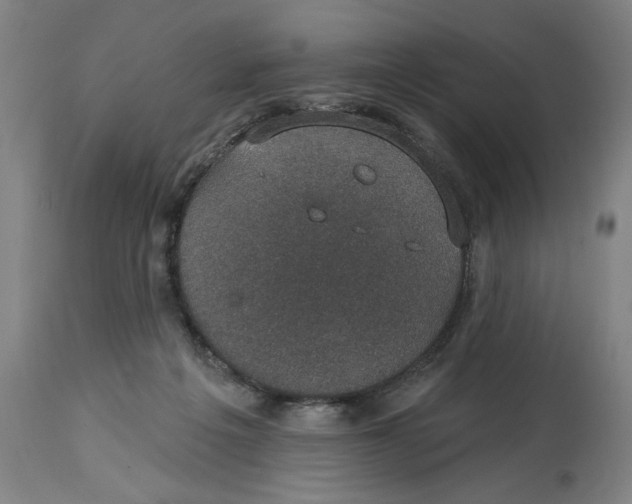 X0000114690217200911181301