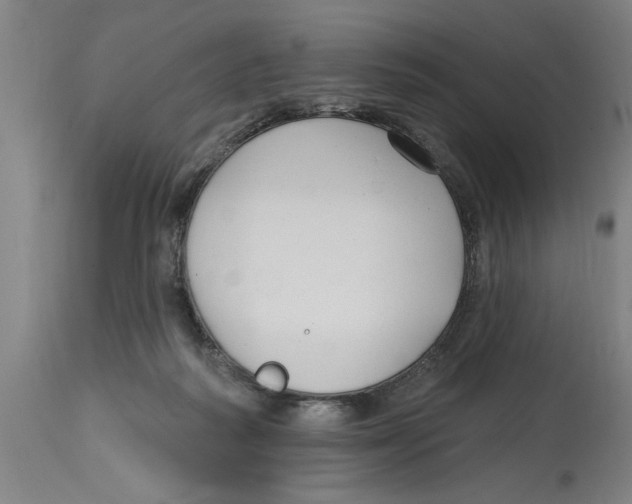 X0000114690218200911181301