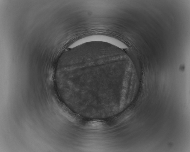 X0000114690219200911181301