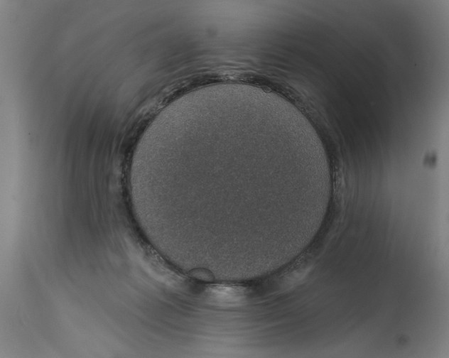 X0000114690221200911181300