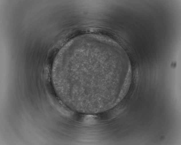 X0000114690222200911181300