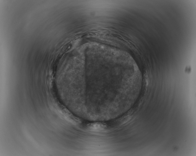 X0000114690223200911181300