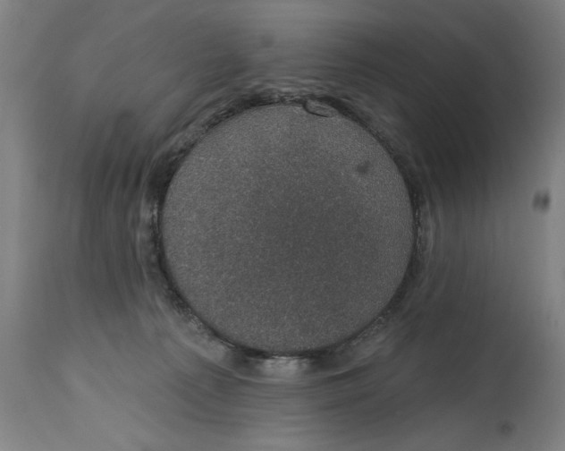 X0000114690225200911181300