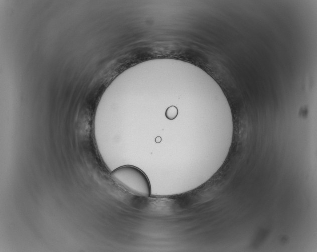 X0000114690226200911181300