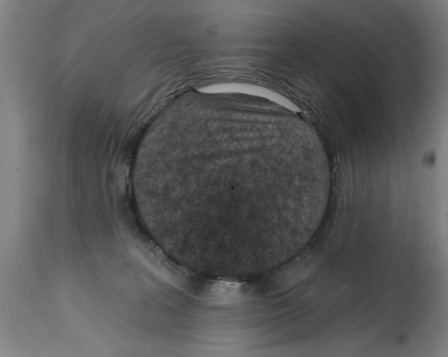 X0000114690227200911181300