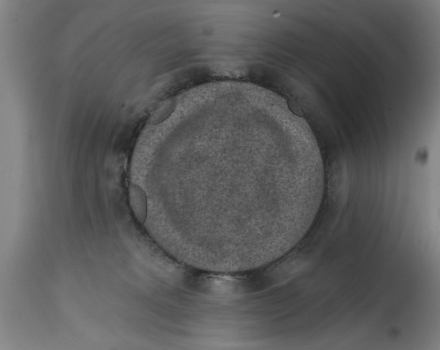 X0000114690229200911181300