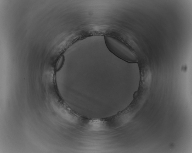 X0000114690231200911181300