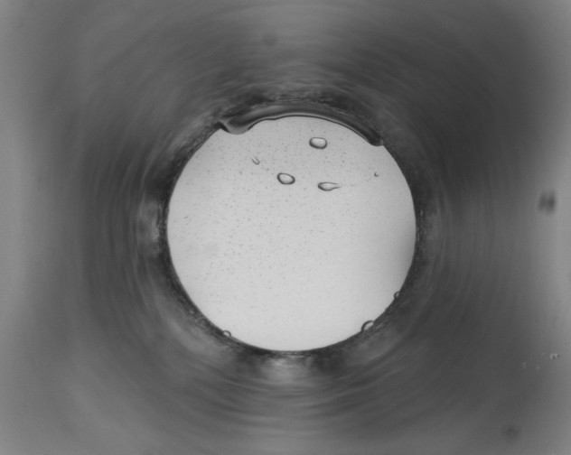 X0000114690232200911181300