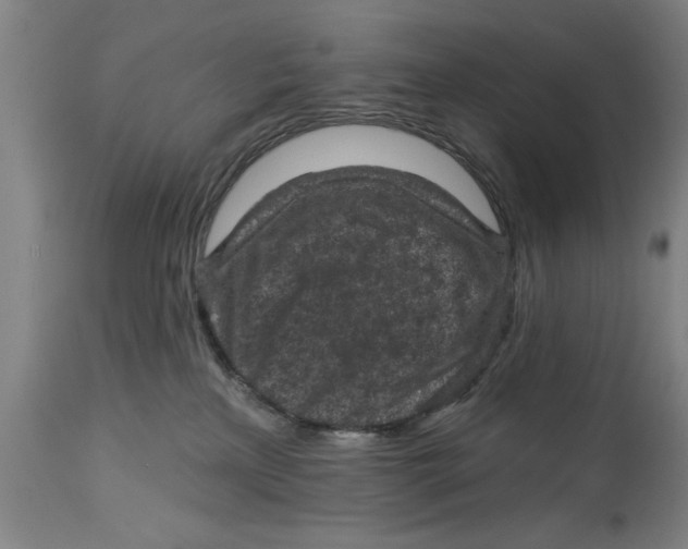 X0000114690233200911181300