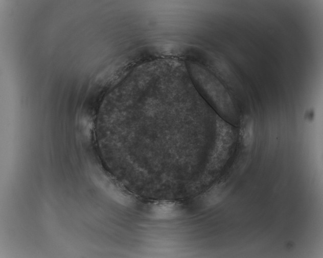 X0000114690235200911181300