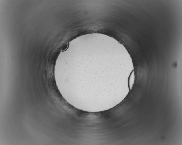 X0000114690236200911181300