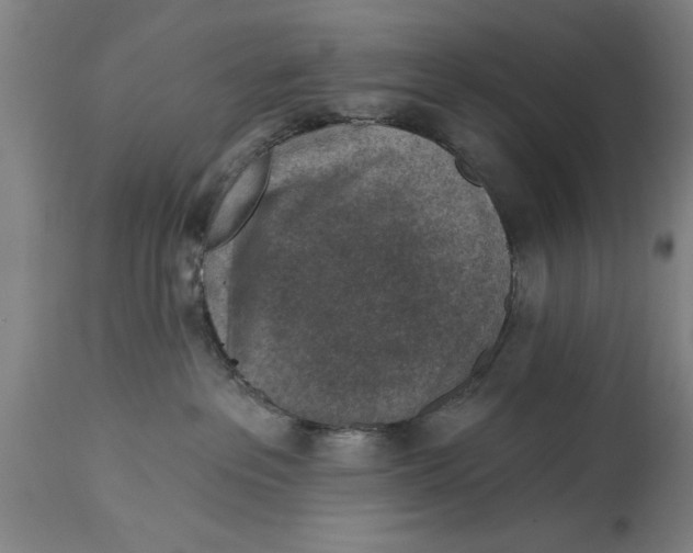 X0000114690237200911181300