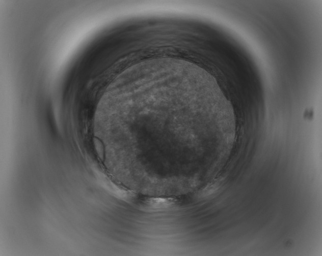 X0000114690239200911181300