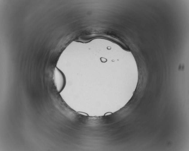 X0000114690240200911181300