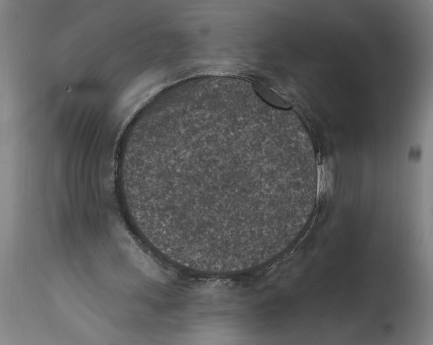 X0000114690243200911181300